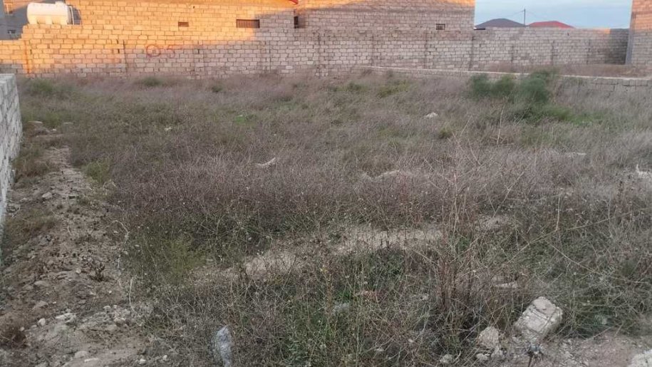 4.3 sot torpaq satılır, Qala-2
