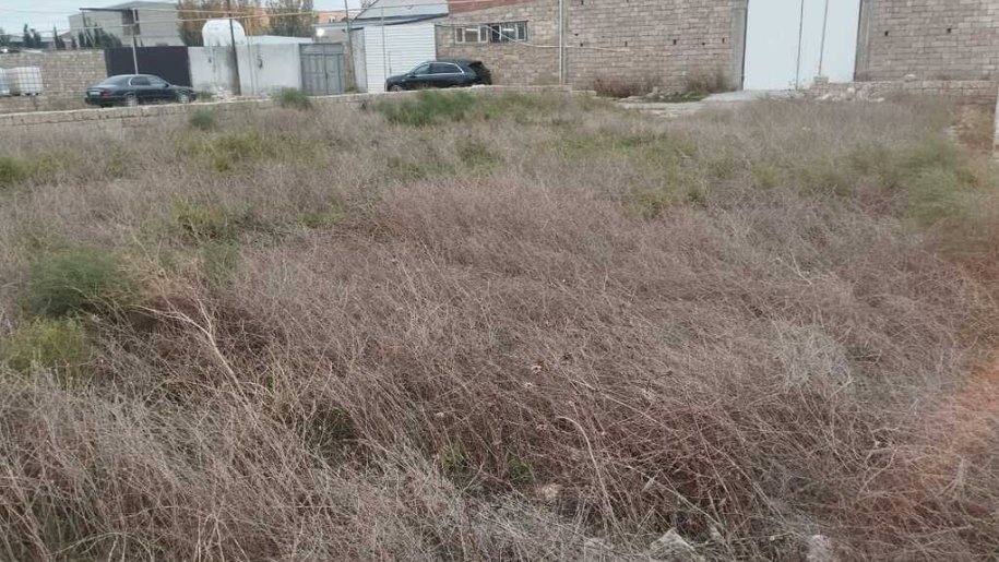 4.3 sot torpaq satılır, Qala-4
