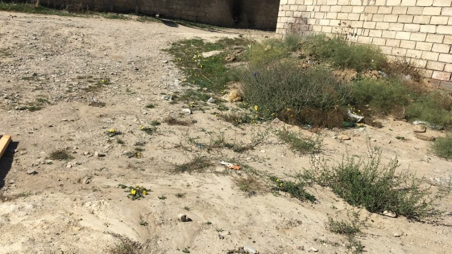 1.7 sot torpaq satılır, Digah-1