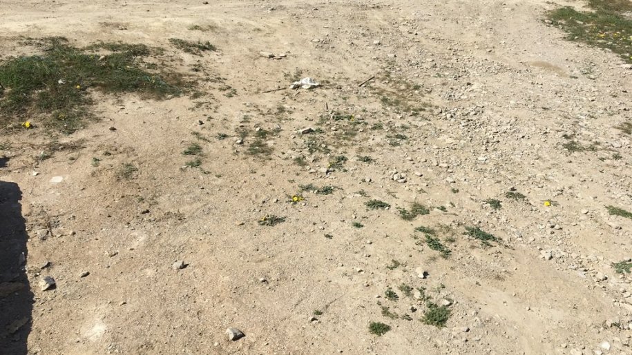 1.7 sot torpaq satılır, Digah-2