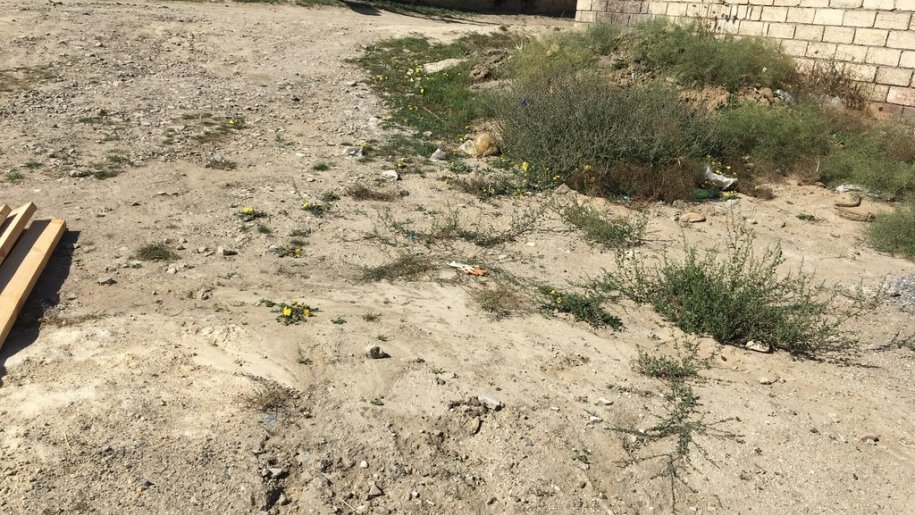 1.7 sot torpaq satılır, Digah-3