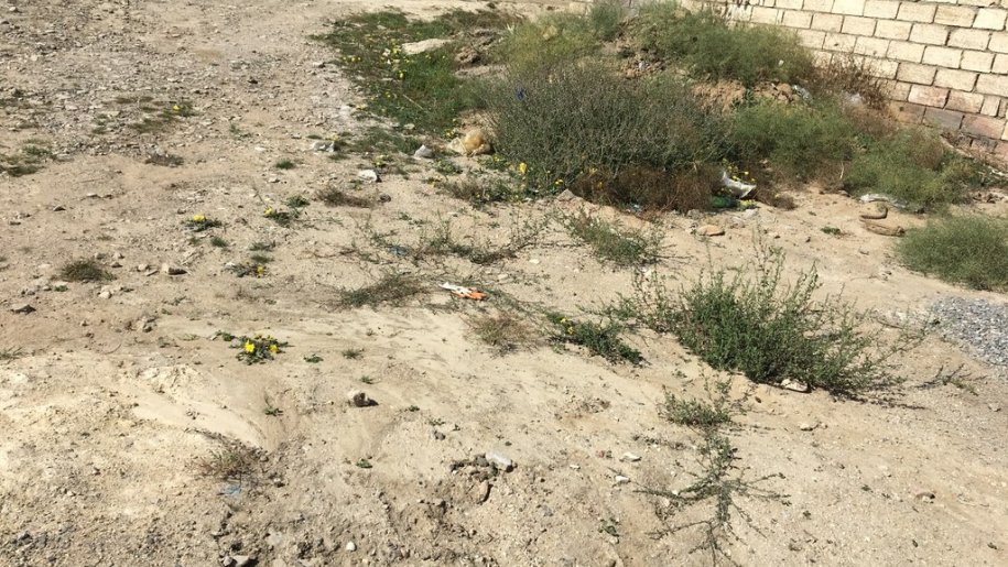 1.7 sot torpaq satılır, Digah-4