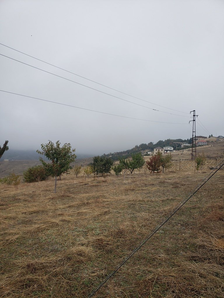 30 sot torpaq satılır, Şamaxı-1