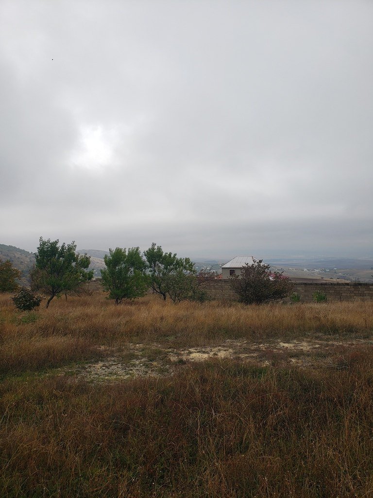 30 sot torpaq satılır, Şamaxı-12