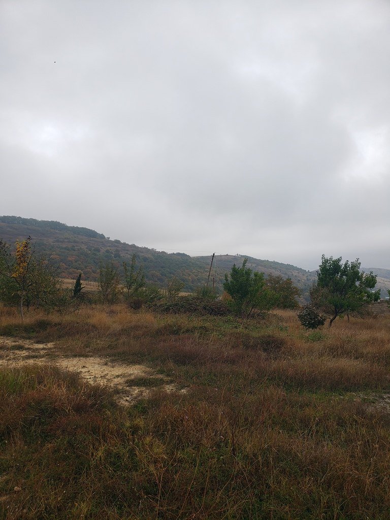 30 sot torpaq satılır, Şamaxı-14
