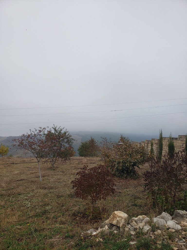 30 sot torpaq satılır, Şamaxı-16