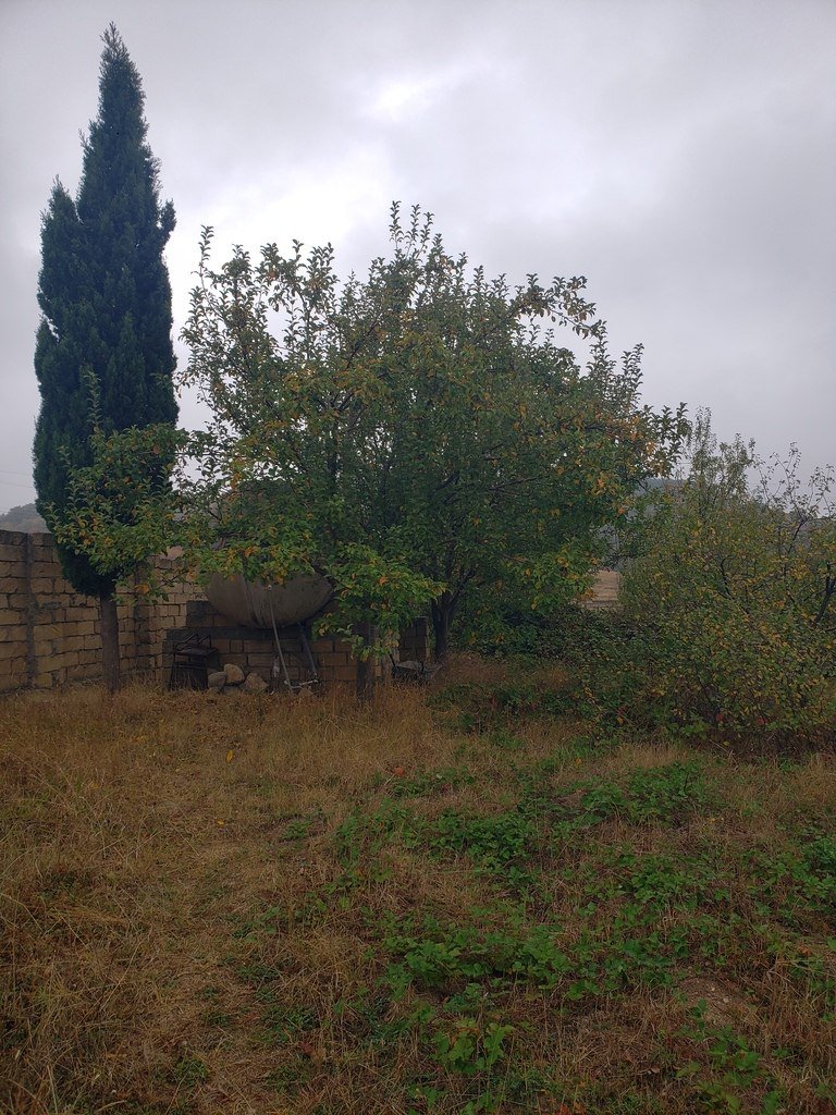 30 sot torpaq satılır, Şamaxı-18