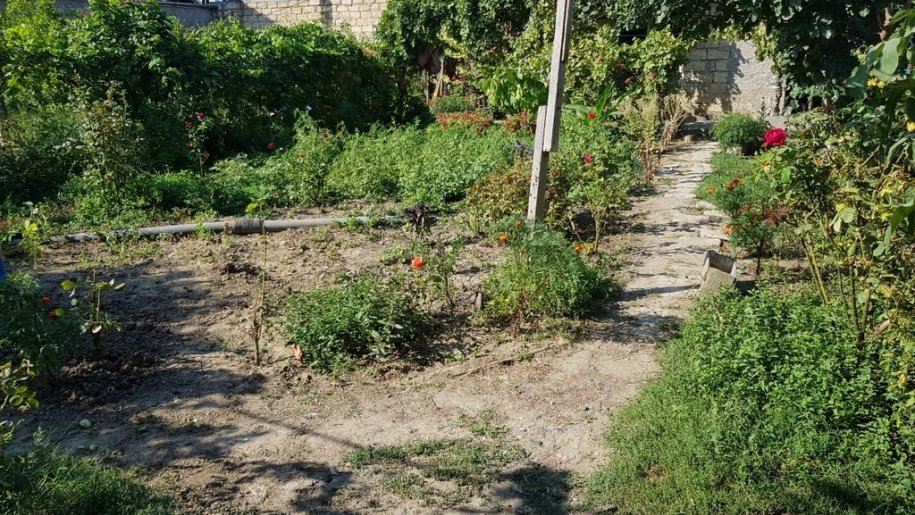 7 sot torpaq satılır, Sulutəpə-1