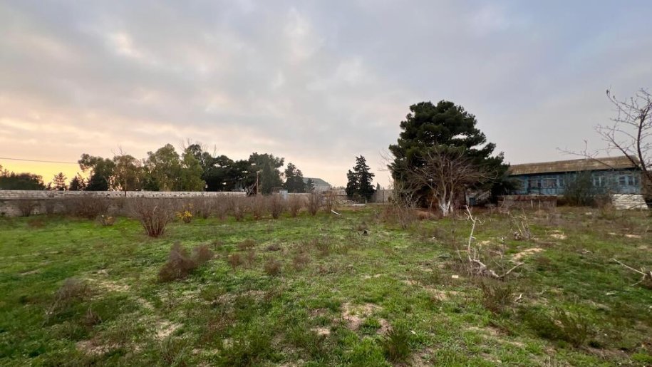 28 sot torpaq satılır, Zirə-1