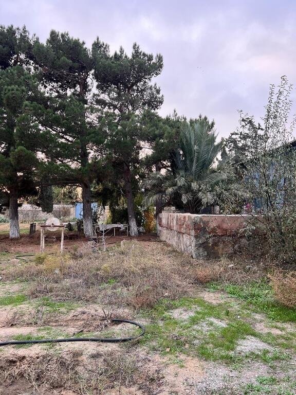 28 sot torpaq satılır, Zirə-5