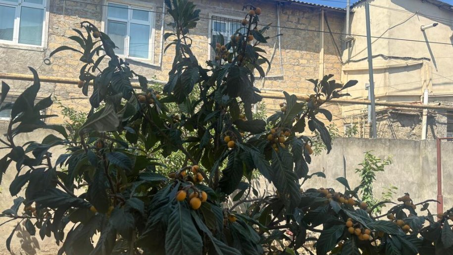 2 sot torpaq satılır, Maştağa-3