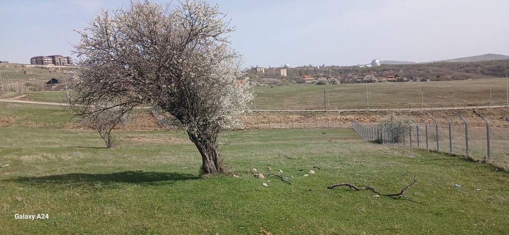 54 sot torpaq satılır, Şamaxı-1