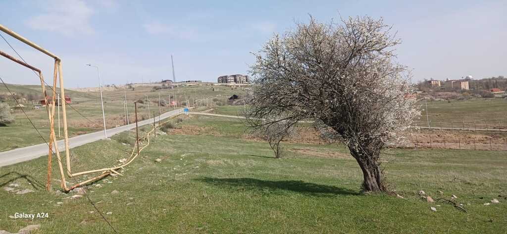 54 sot torpaq satılır, Şamaxı-2