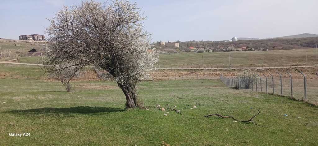54 sot torpaq satılır, Şamaxı-3