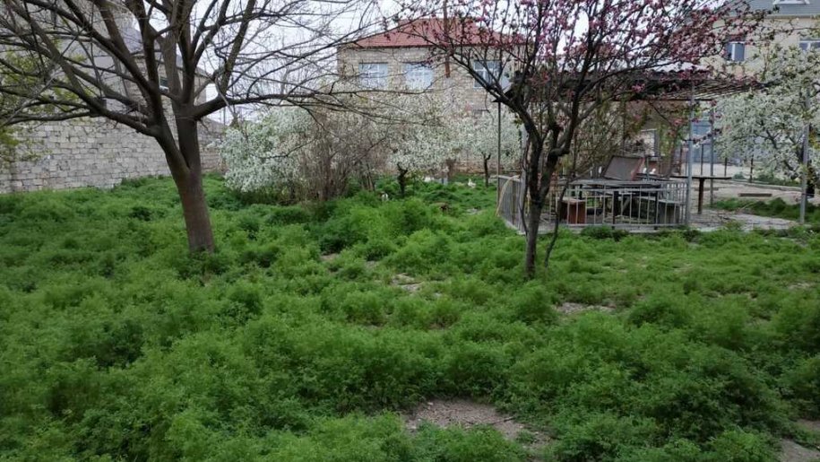 15.8 sot torpaq satılır, Əhmədli m.-1