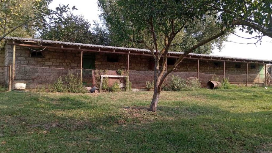 200 sot torpaq satılır, Xaçmaz-1