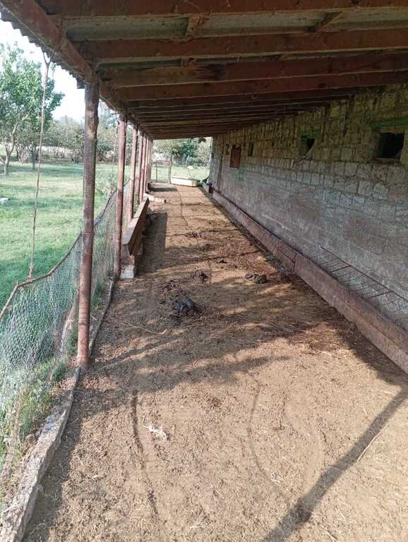 200 sot torpaq satılır, Xaçmaz-2