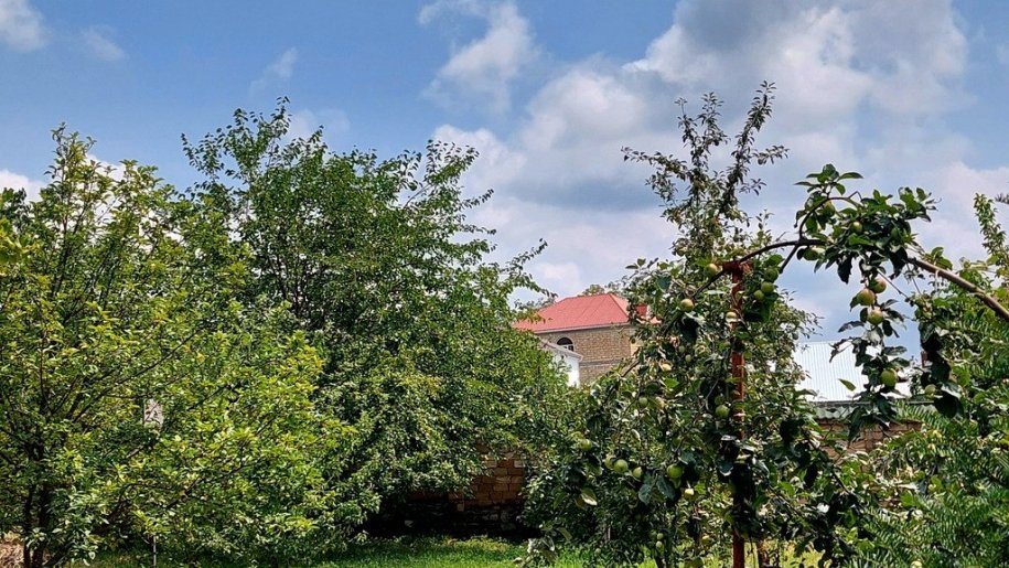 10 sot torpaq satılır, Qəbələ-7