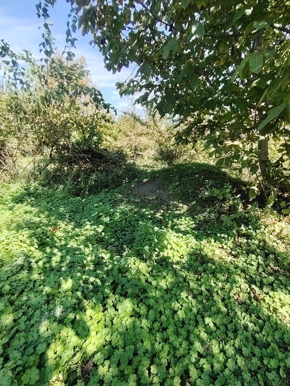 110 sot torpaq satılır, Qəbələ-2
