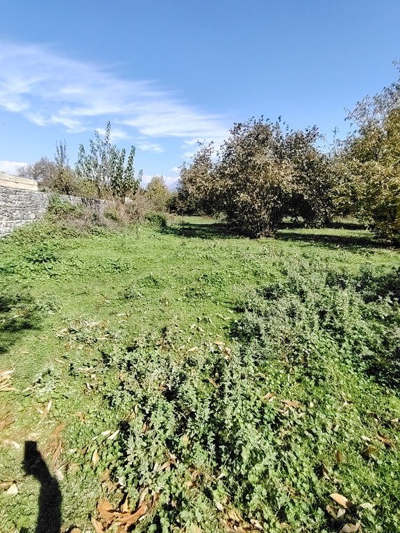 110 sot torpaq satılır, Qəbələ-3