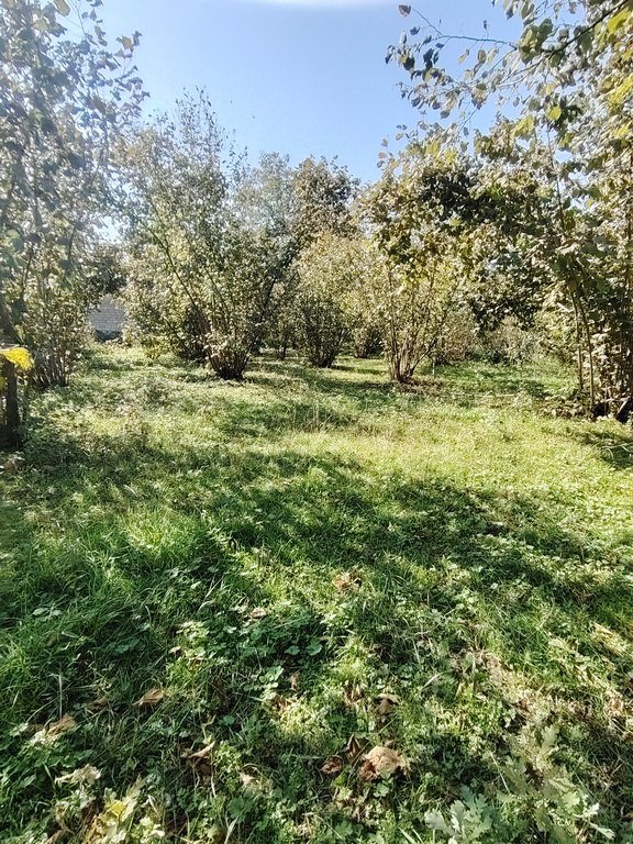 110 sot torpaq satılır, Qəbələ-5