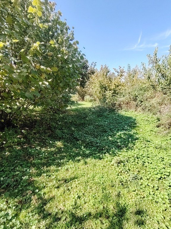 110 sot torpaq satılır, Qəbələ-14