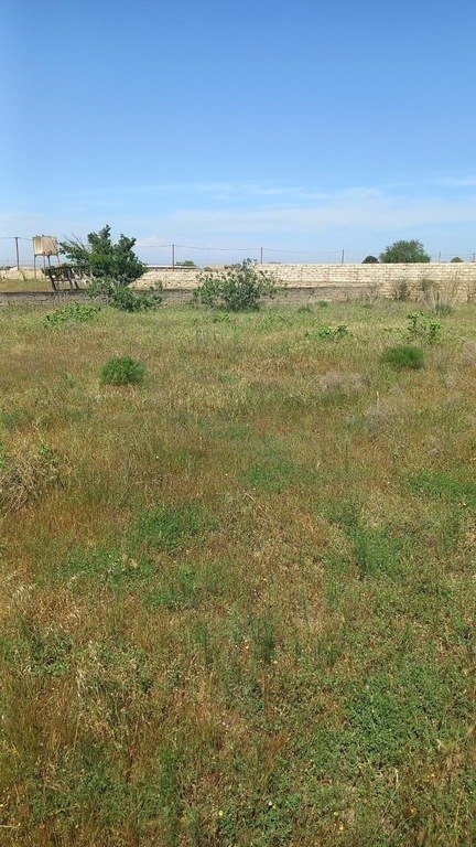 12 sot torpaq satılır, Türkan-3