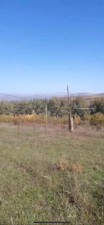 10 sot torpaq satılır, Şamaxı-6