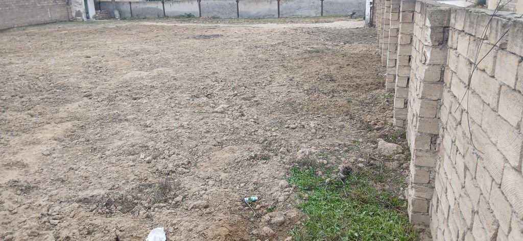 13 sot torpaq satılır, Buzovna-5