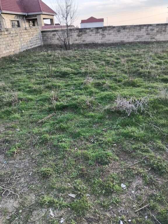 6 sot torpaq satılır, Şamaxı-2