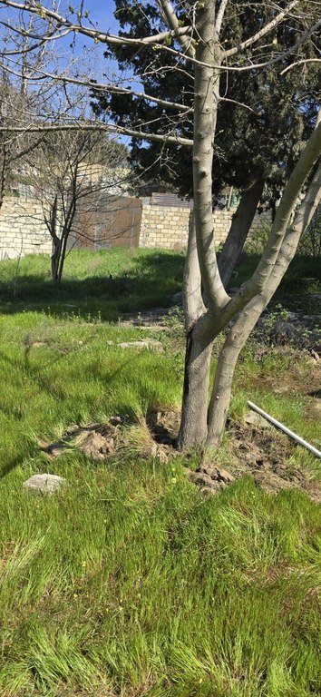 9 sot torpaq satılır, Avtovağzal m.-2