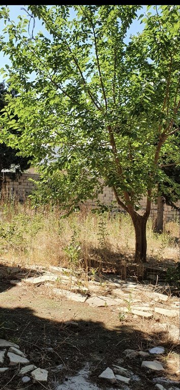 9 sot torpaq satılır, Avtovağzal m.-3
