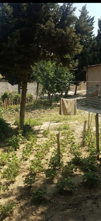 9 sot torpaq satılır, Avtovağzal m.-4