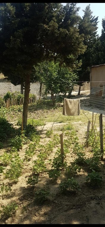 9 sot torpaq satılır, Avtovağzal m.-6