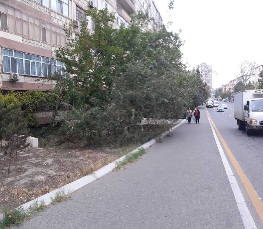 Satılır 4 otaqlı köhnə tikili, 85 m², Memar Əcəmi m.-4
