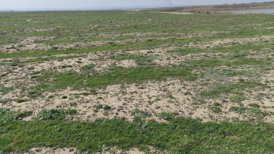 28 sot torpaq satılır, Maştağa-1