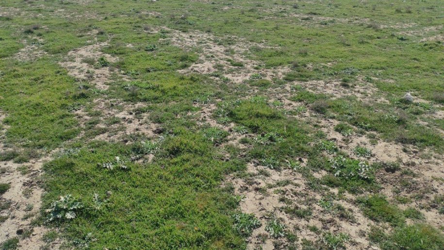 28 sot torpaq satılır, Maştağa-3