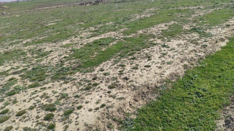 28 sot torpaq satılır, Maştağa-5