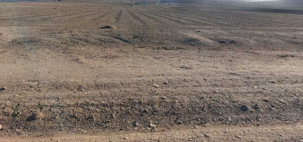 2300 sot torpaq satılır, Məmmədli-3