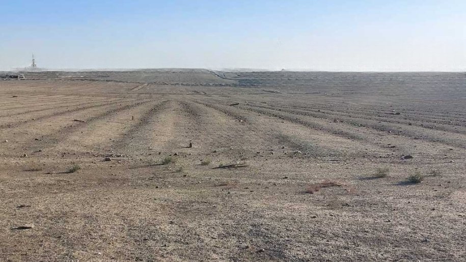 2300 sot torpaq satılır, Məmmədli-4