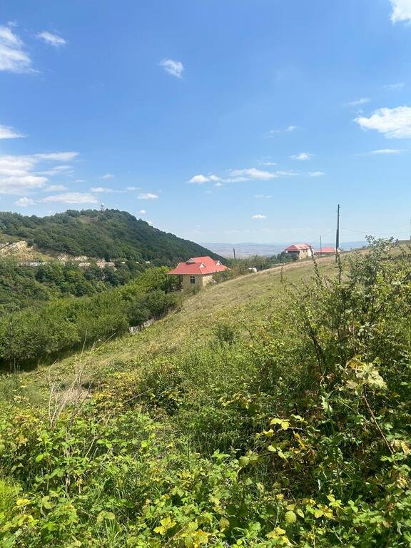 1000 sot torpaq satılır, Şamaxı-1