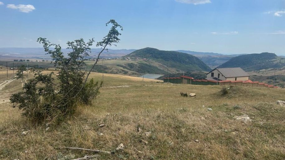 1000 sot torpaq satılır, Şamaxı-14