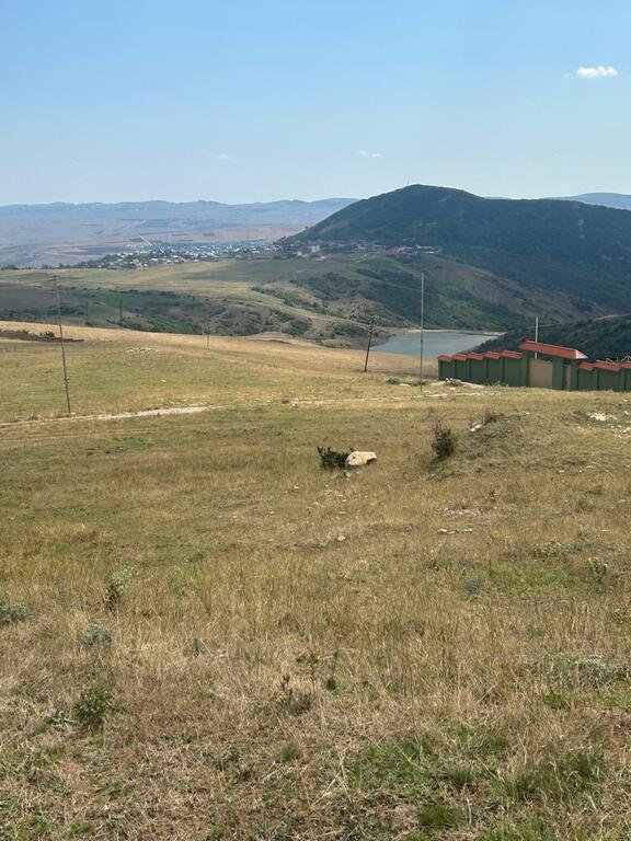 1000 sot torpaq satılır, Şamaxı-15