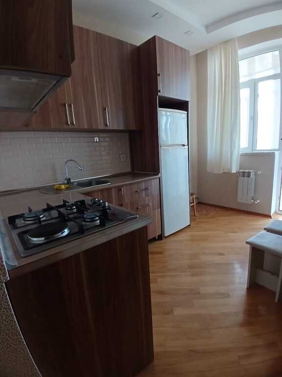 Kirayə verilir 2 otaqlı yeni tikili, 73 m², Nəsimi m.-6