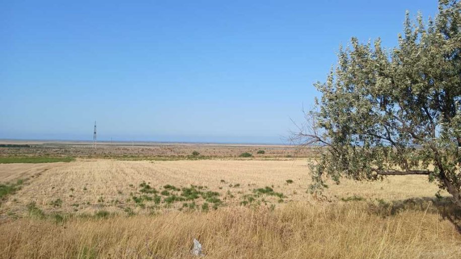 138 sot torpaq satılır, Şabran-3