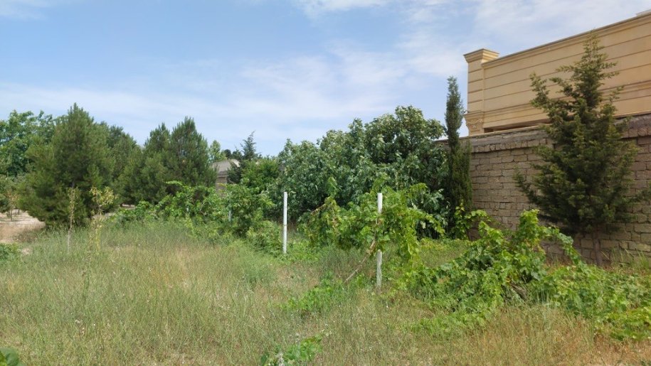 12.5 sot torpaq satılır, Bilgəh-5
