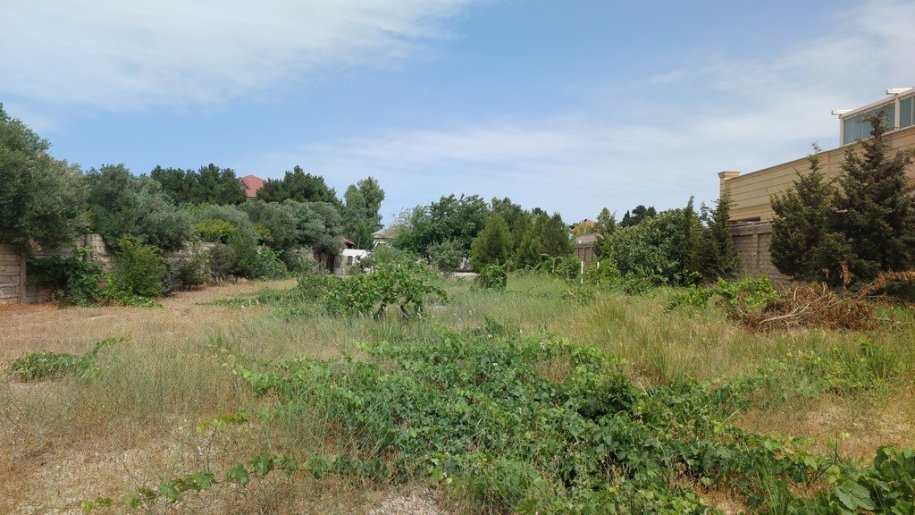 12.5 sot torpaq satılır, Bilgəh-7