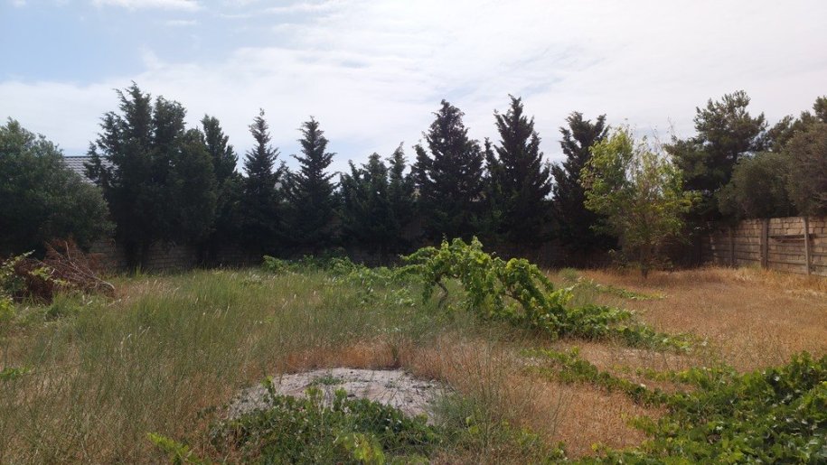 12.5 sot torpaq satılır, Bilgəh-8