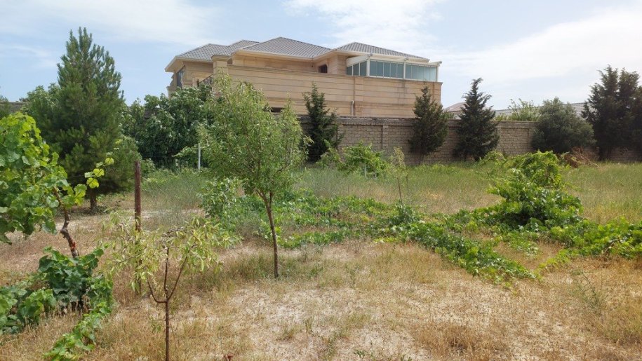 12.5 sot torpaq satılır, Bilgəh-10