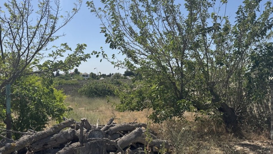 12 sot torpaq satılır, Pirşağı-4